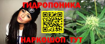 кристаллы Гусь-Хрустальный