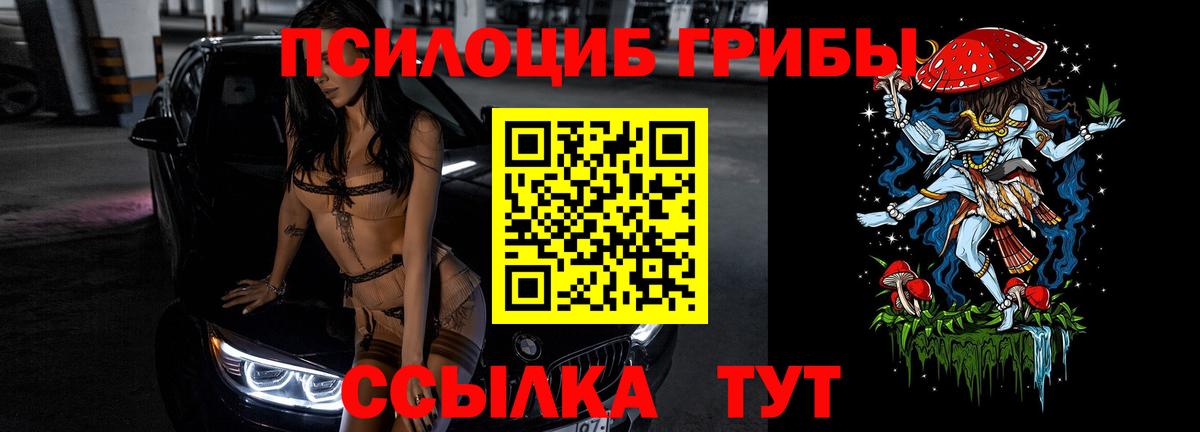 Галлюциногенные грибы Psilocybe Михайловск